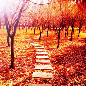 成人免费毛片❌❌❌
